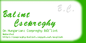 balint csepreghy business card